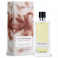 Angel Schlesser Esprit de Gingembre